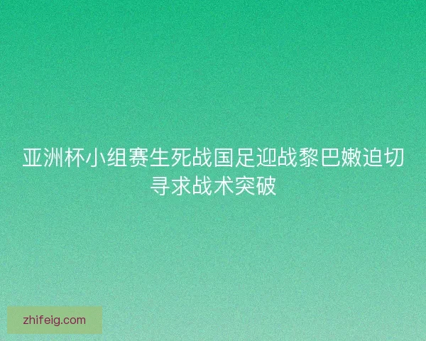 亚洲杯小组赛生死战国足迎战黎巴嫩迫切寻求战术突破